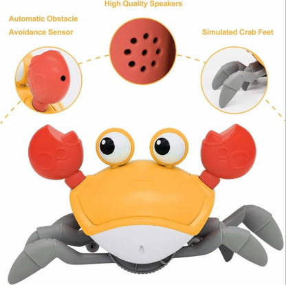 Electric Crab - Bouncy Boo - Kids Toys Store