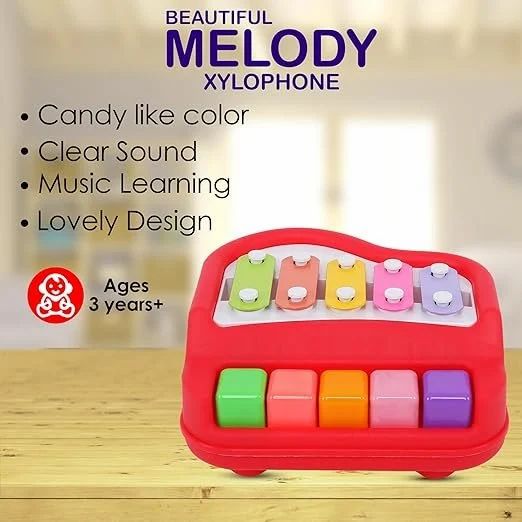 Melody Xylophone - Bouncy Boo - Kids Toys Store