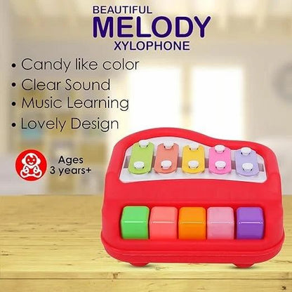 Melody Xylophone - Bouncy Boo - Kids Toys Store