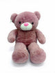 Pink Teddy Bear Soft Toy for Kids 1–6 Years | Cute Plush Toy - Bouncy Boo - Kids Toys Store