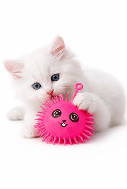 Puffer balls sensory toy for kids 3+ years – relieves stress and improves sensory play - Bouncy Boo - Kids Toys Store